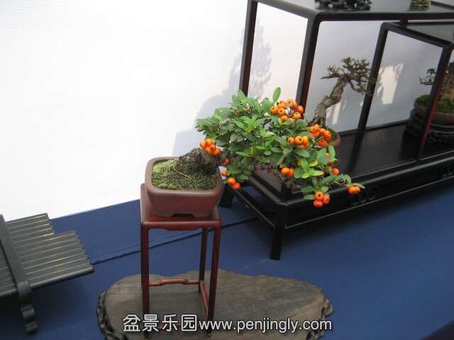 QQͼƬ20140928214556.jpg
