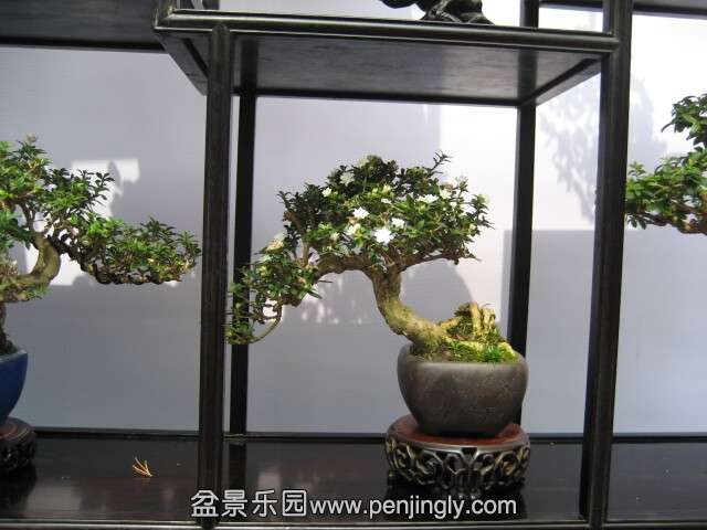 QQͼƬ20140928214631.jpg