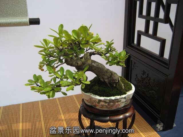 QQͼƬ20140928214740.jpg