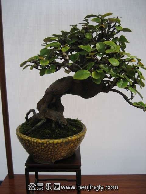 QQͼƬ20140928214812.jpg