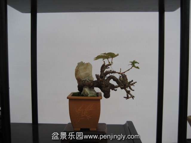 QQͼƬ20140928214850.jpg