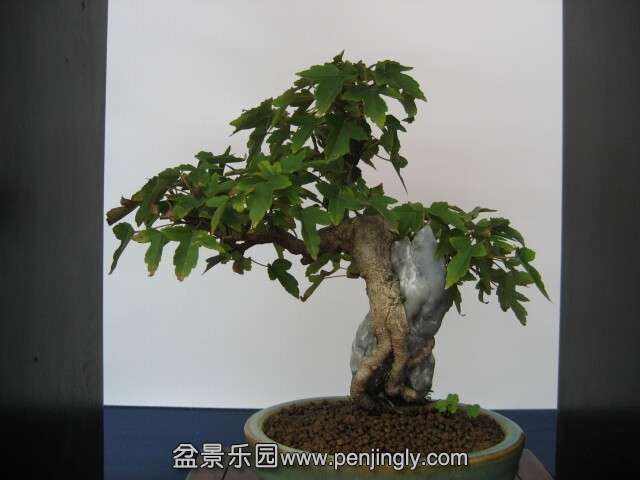 QQͼƬ20140928215017.jpg