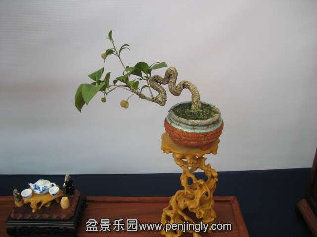 QQͼƬ20140928215050.jpg