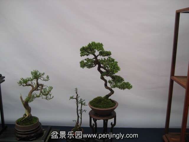 QQͼƬ20140928215125.jpg