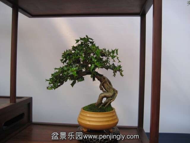 QQͼƬ20140928215144.jpg