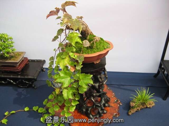 QQͼƬ20140928215200.jpg