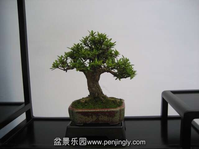 QQͼƬ20140928214020.jpg