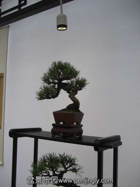QQͼƬ20140928214055.jpg