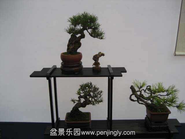 QQͼƬ20140928214132.jpg