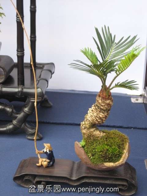 QQͼƬ20140928214203.jpg