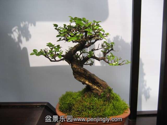 QQͼƬ20140928214241.jpg