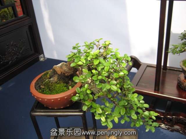 QQͼƬ20140928214308.jpg