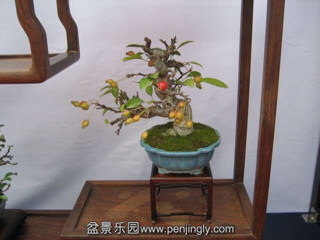 QQͼƬ20140928214349.jpg