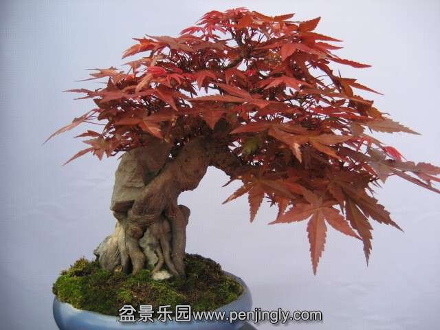 QQͼƬ20140928214512.jpg
