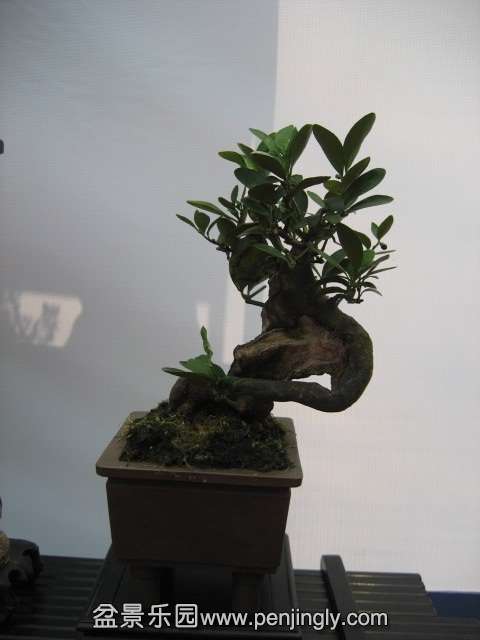 QQͼƬ20140928214604.jpg