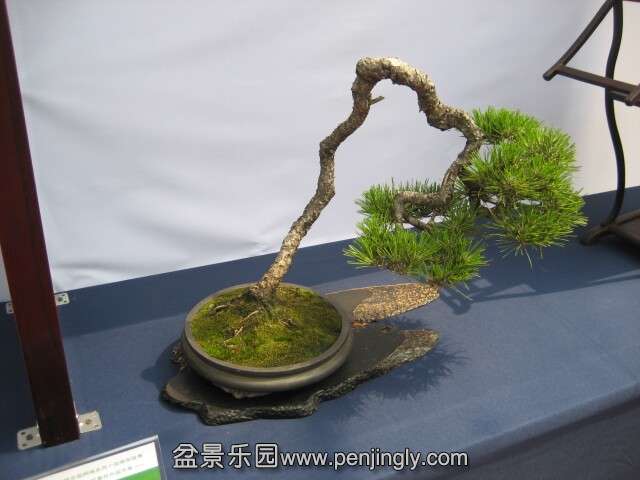 QQͼƬ20140928214717.jpg