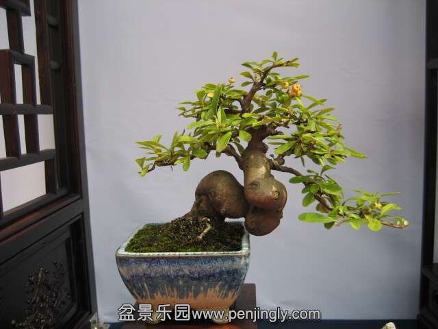 QQͼƬ20140928214825.jpg