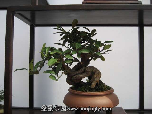 QQͼƬ20140928214859.jpg