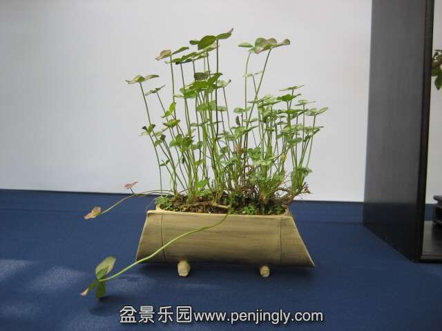 QQͼƬ20140928215021.jpg
