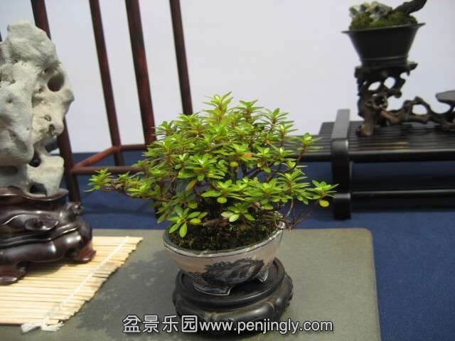 QQͼƬ20140928215054.jpg