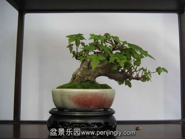 QQͼƬ20140928215112.jpg