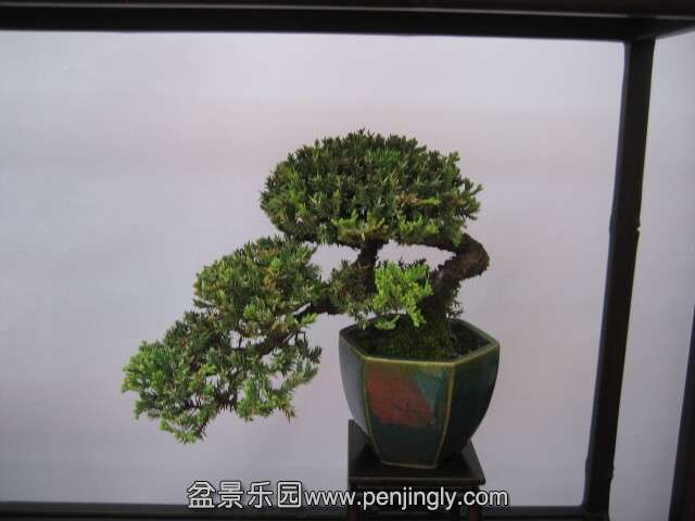 QQͼƬ20140928215130.jpg