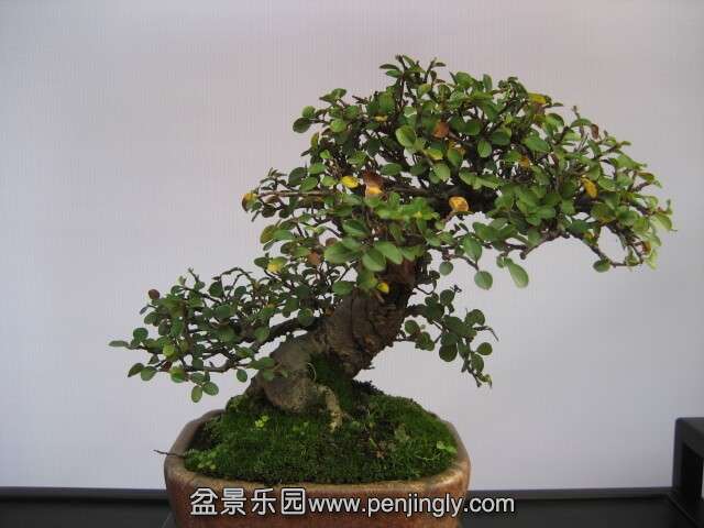 QQͼƬ20140928215148.jpg