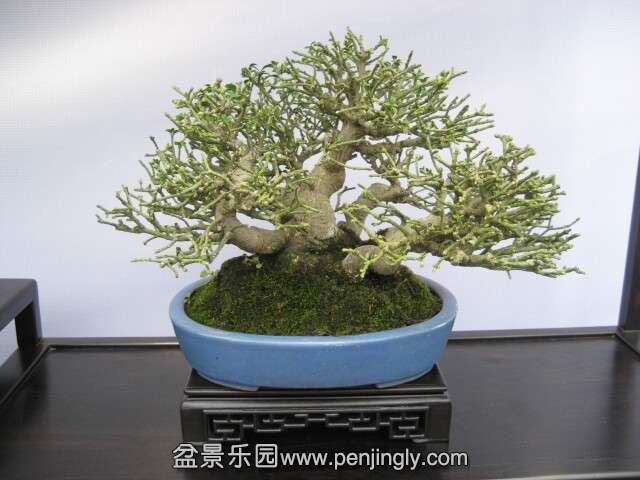 QQͼƬ20140928213957.jpg