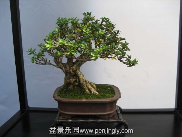 QQͼƬ20140928214025.jpg