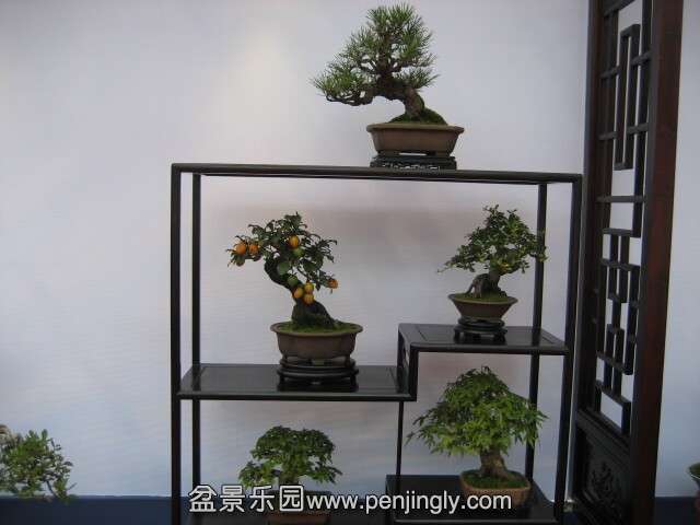 QQͼƬ20140928214106.jpg