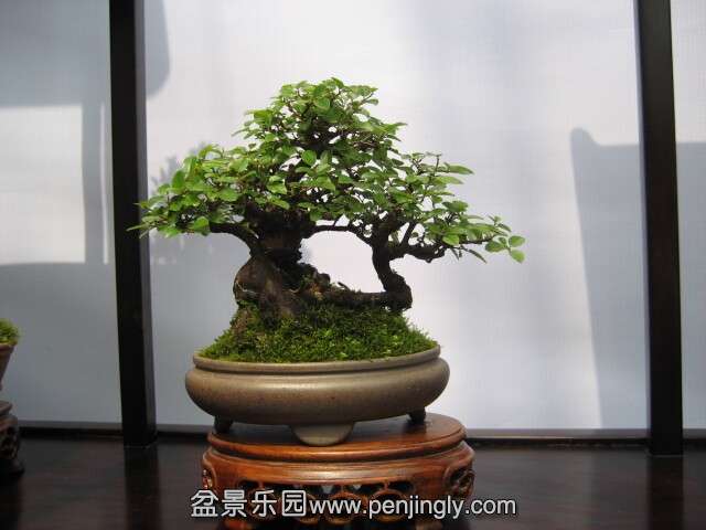 QQͼƬ20140928214216.jpg