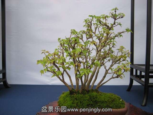 QQͼƬ20140928214320.jpg