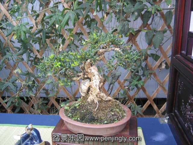 QQͼƬ20140928214518.jpg