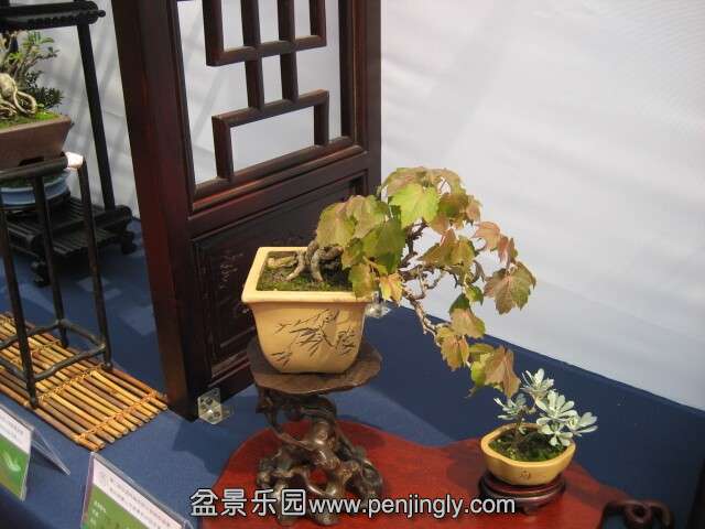 QQͼƬ20140928214540.jpg