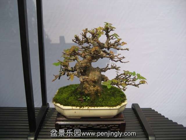 QQͼƬ20140928214613.jpg