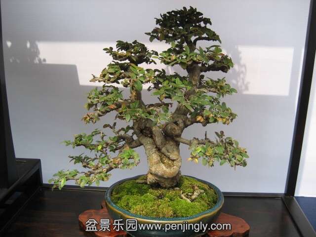 QQͼƬ20140928214651.jpg