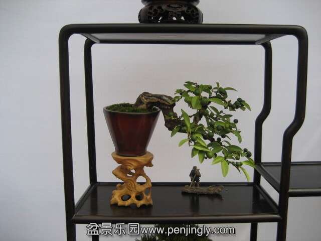 QQͼƬ20140928214722.jpg