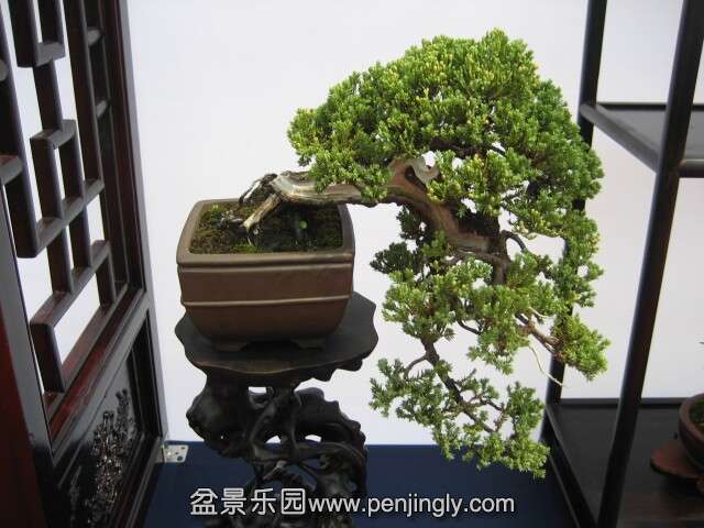 QQͼƬ20140928214752.jpg