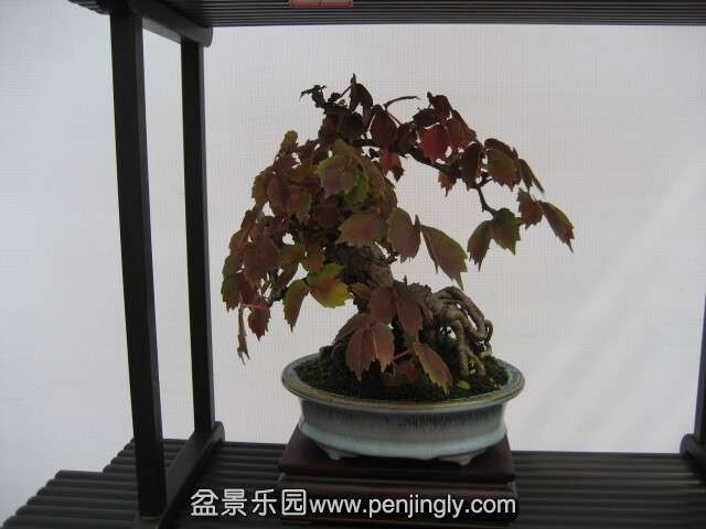 QQͼƬ20140928214830.jpg