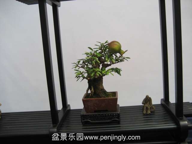 QQͼƬ20140928215058.jpg