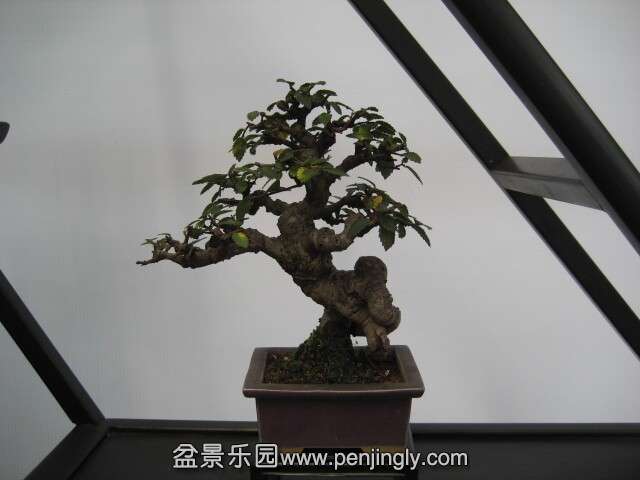 QQͼƬ20140928215117.jpg