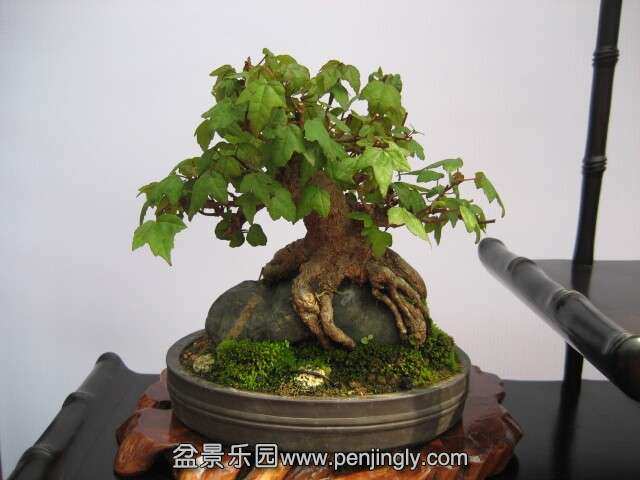 QQͼƬ20140928215152.jpg
