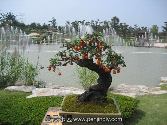 QQͼƬ20140928215426.jpg