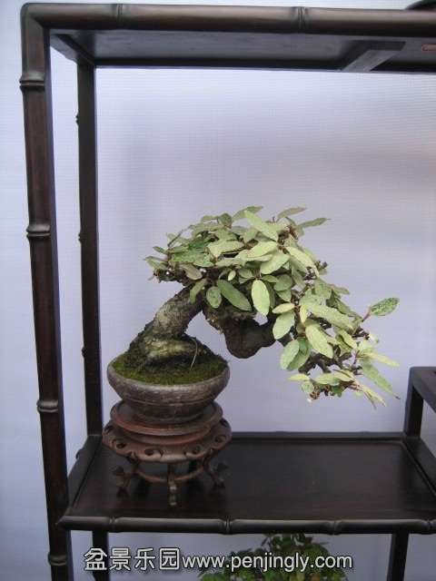 QQͼƬ20140928214003.jpg