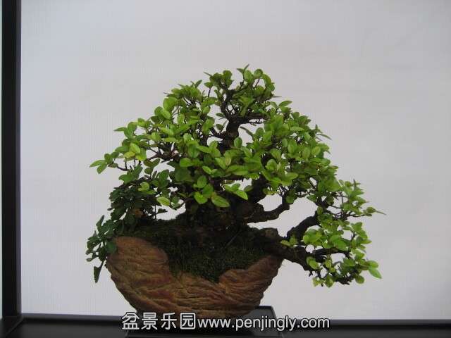 QQͼƬ20140928214030.jpg