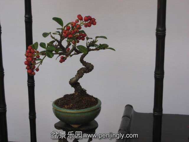 QQͼƬ20140928214148.jpg