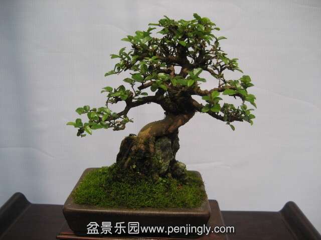 QQͼƬ20140928214224.jpg