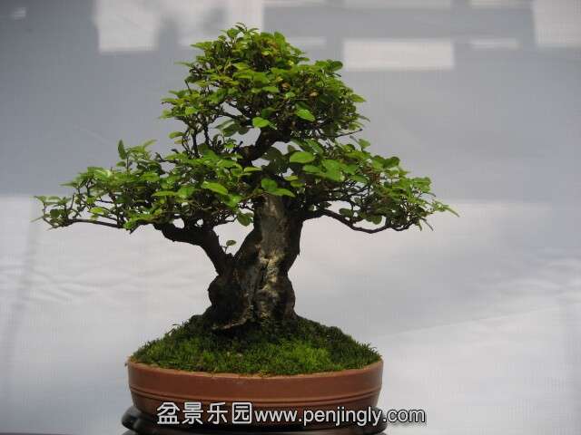 QQͼƬ20140928214255.jpg