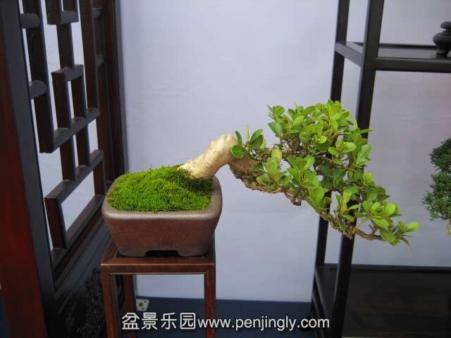QQͼƬ20140928214334.jpg