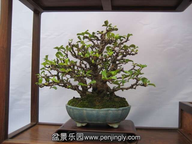 QQͼƬ20140928214501.jpg